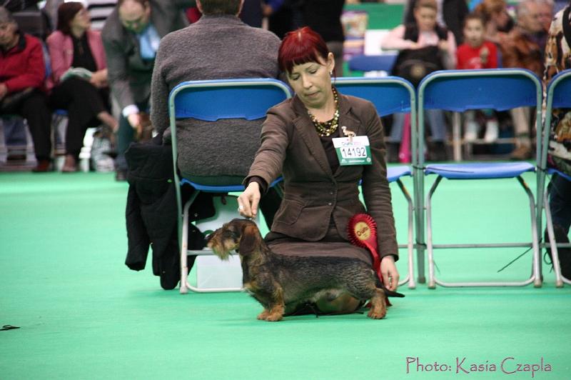 Crufts2011_2 947.jpg